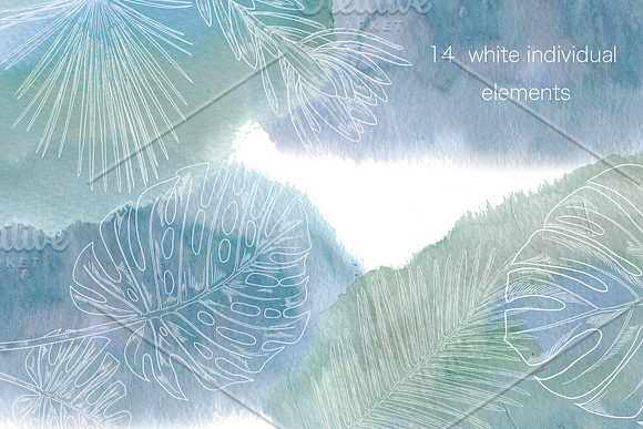 Tropical leaf collection in Illustrations - product preview 1