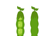 Green peas or bean