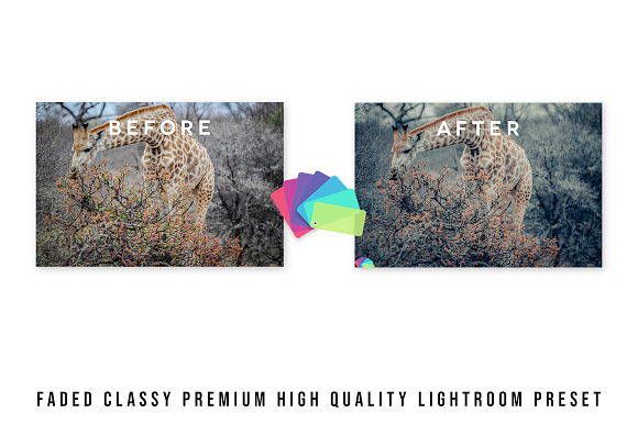 Faded Classy Lightroom + Capture One in Add-Ons - product preview 3