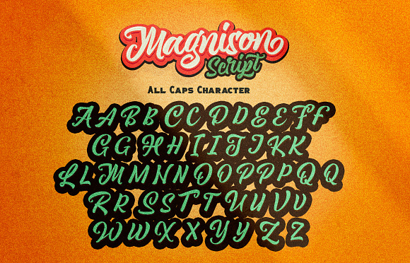 Magnison Font Pack + Bonus in Display Fonts - product preview 25