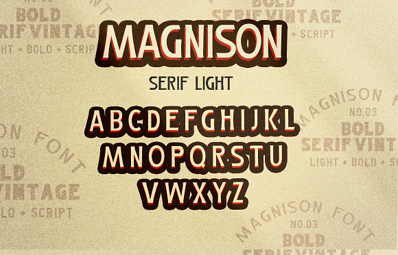 Magnison Font Pack + Bonus in Display Fonts - product preview 26