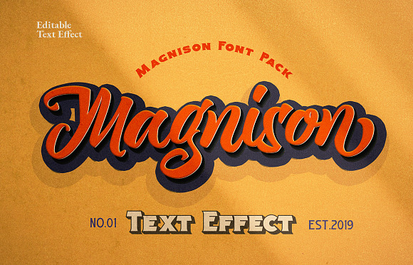 Magnison Font Pack + Bonus in Display Fonts - product preview 29