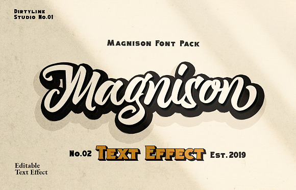 Magnison Font Pack + Bonus in Display Fonts - product preview 30