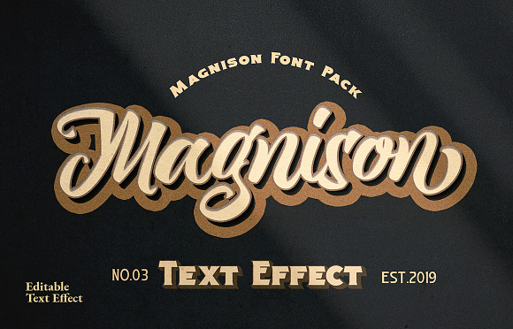 Magnison Font Pack + Bonus in Display Fonts - product preview 31