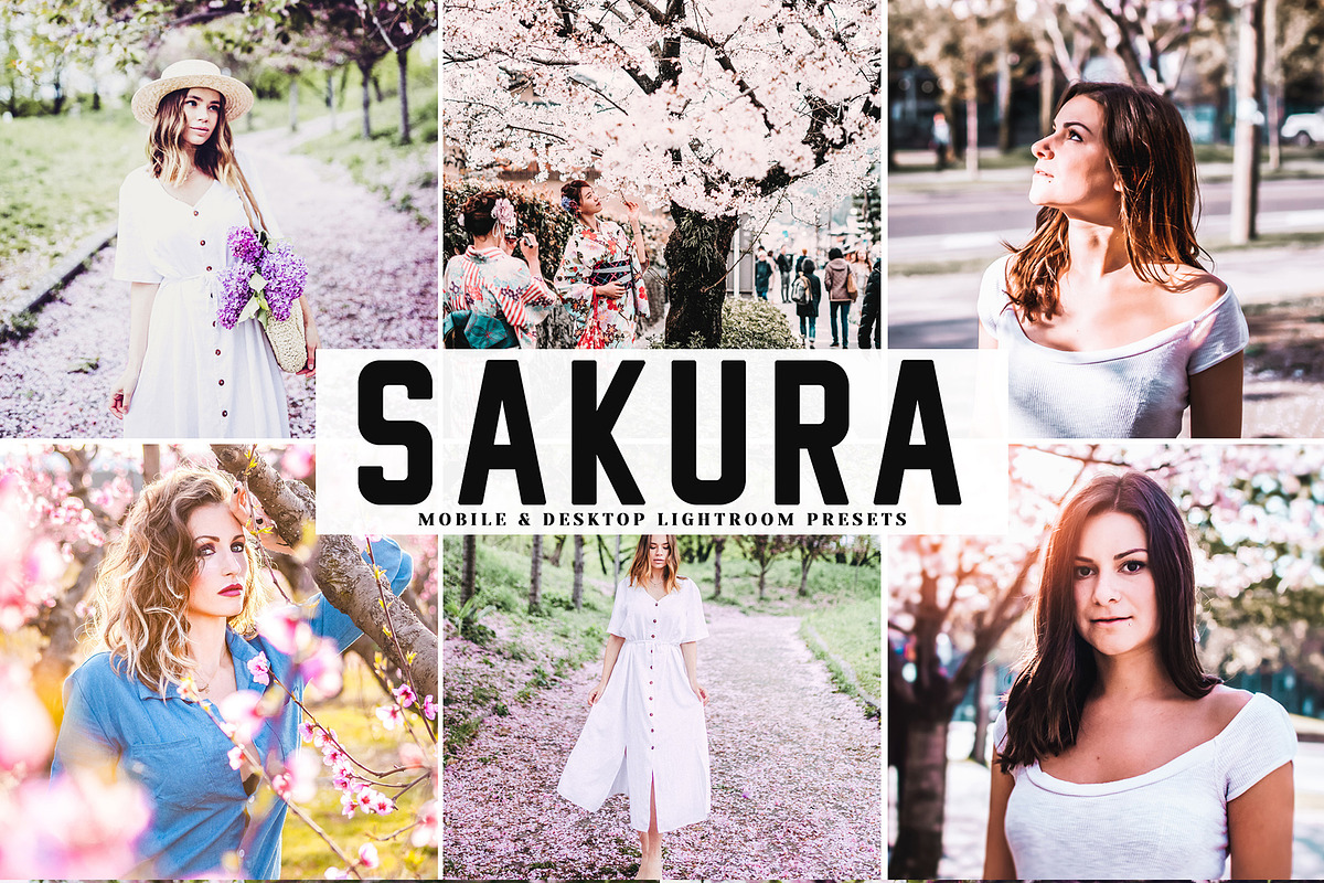 Sakura Lightroom Preset Pack in Add-Ons - product preview 8