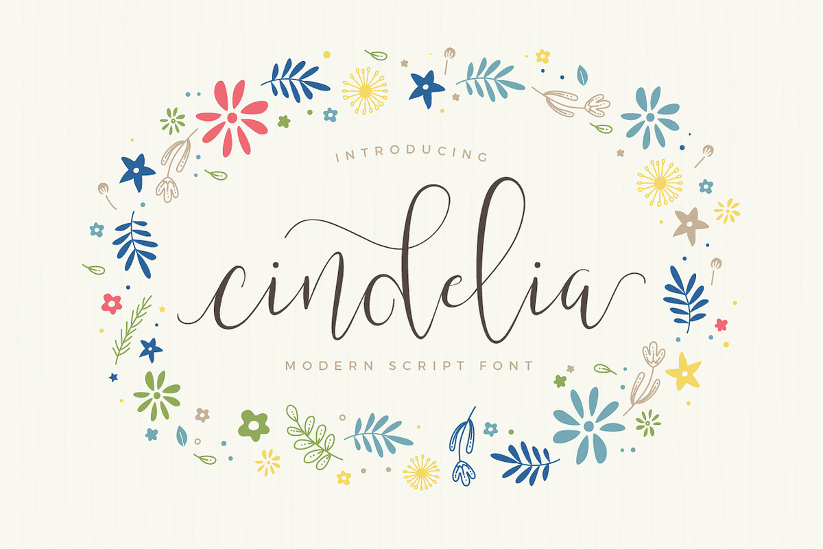 Cindelia in Twitter Fonts - product preview 8