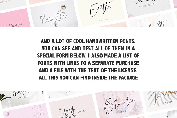 290+ FONTS in 1 BUNDLE in Script Fonts - product preview 31