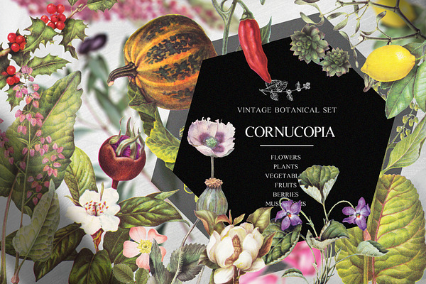 Vintage botanical set - Cornucopia