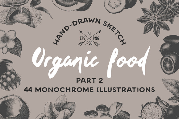 Set of 44 organic food objects in Illustrations - product preview 1