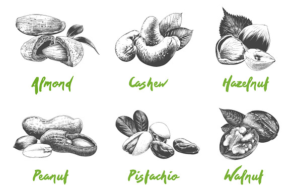 Set of 44 organic food objects in Illustrations - product preview 2