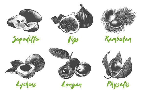 Set of 44 organic food objects in Illustrations - product preview 6