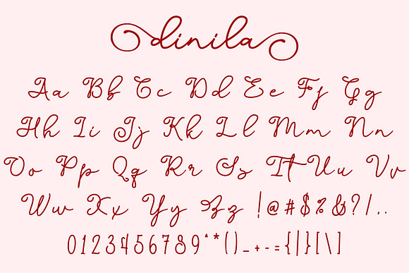 Dinila Script in Script Fonts - product preview 5