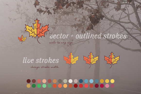 Autumn Elements Fall Vector Icons in Illustrations - product preview 1