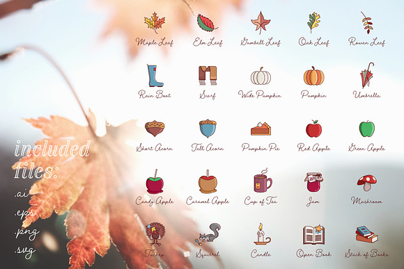 Autumn Elements Fall Vector Icons in Illustrations - product preview 5