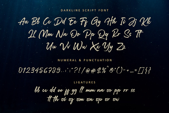 Darkline / Brush Script Font in Display Fonts - product preview 10