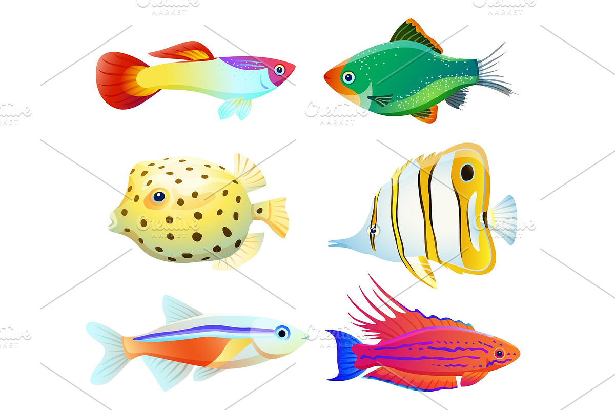 Aquarium fish silhouette isolated on in Illustrations - product preview 8