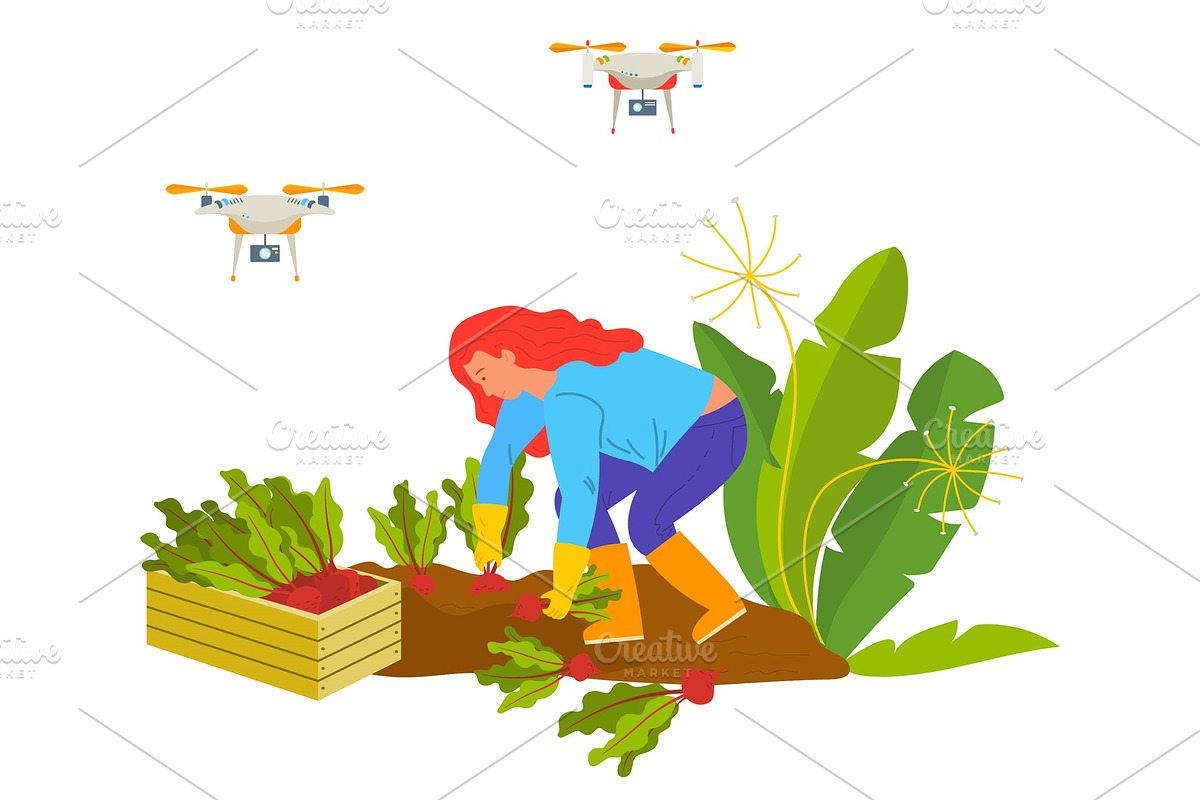 Harvesting Beet, Drone on Farm in Illustrations - product preview 8