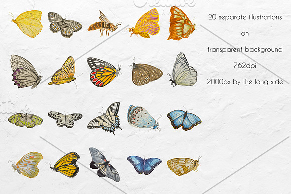 Butterfly watercolor set in Illustrations - product preview 2