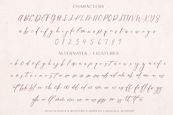 Fall Ember Calligraphy Font in Script Fonts - product preview 10