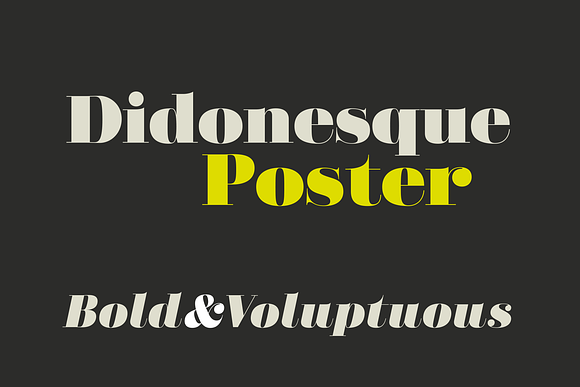 Didonesque Lite 16 Fashionable Fonts in Serif Fonts - product preview 5