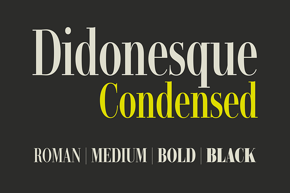 Didonesque Lite 16 Fashionable Fonts in Serif Fonts - product preview 6