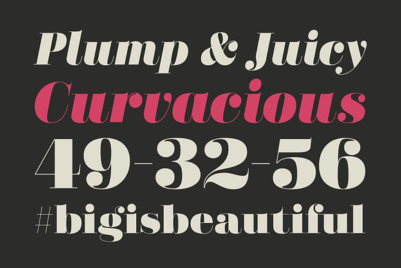 Didonesque Poster Font Duo in Serif Fonts - product preview 1