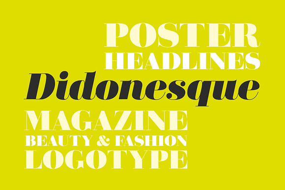 Didonesque Poster Font Duo in Serif Fonts - product preview 2