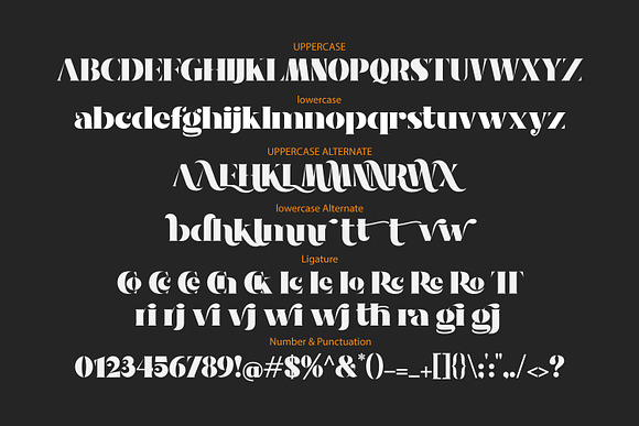 Nakone in Serif Fonts - product preview 7