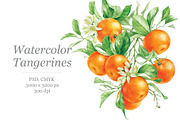 Watercolor Mandarines