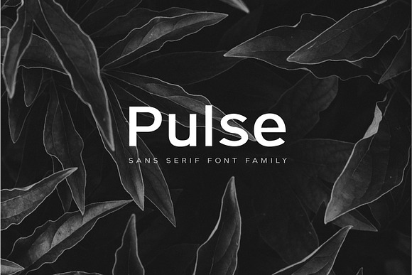 Pulse - A Modern Sans-Serif Typeface in Sans-Serif Fonts - product preview 4