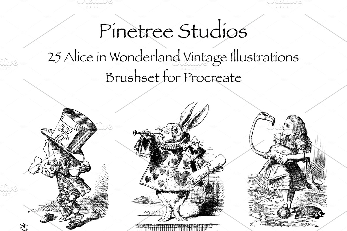 Procreate Alice in Wonderland in Add-Ons - product preview 8