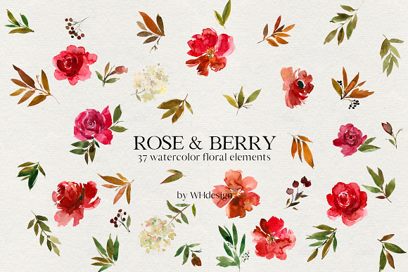 Rose and Berry Watercolor Florals in Illustrations - product preview 4