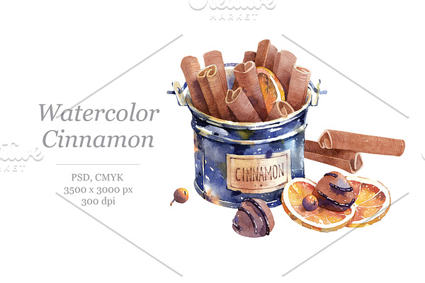Watercolour Cinnamon in a bucket