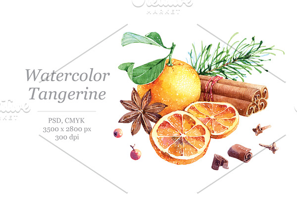 Watercolour Tangerine & Cinnamon
