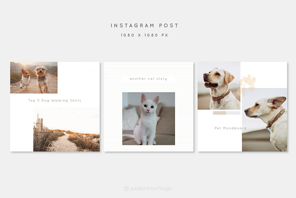 Instagram Post & Stories. Pets in Instagram Templates - product preview 7