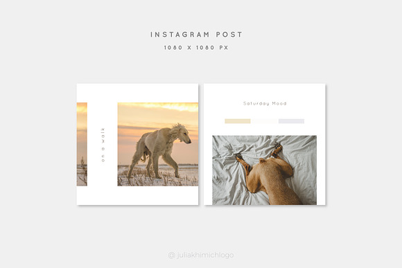 Instagram Post & Stories. Pets in Instagram Templates - product preview 8