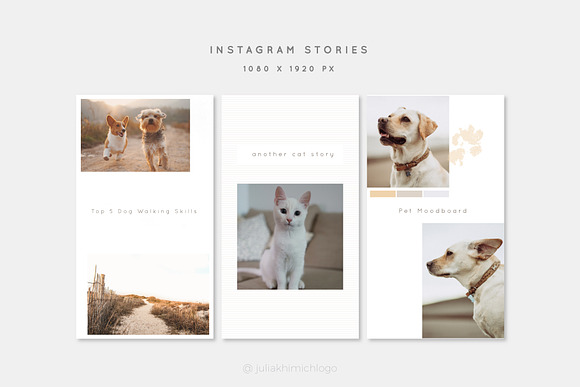 Instagram Post & Stories. Pets in Instagram Templates - product preview 14