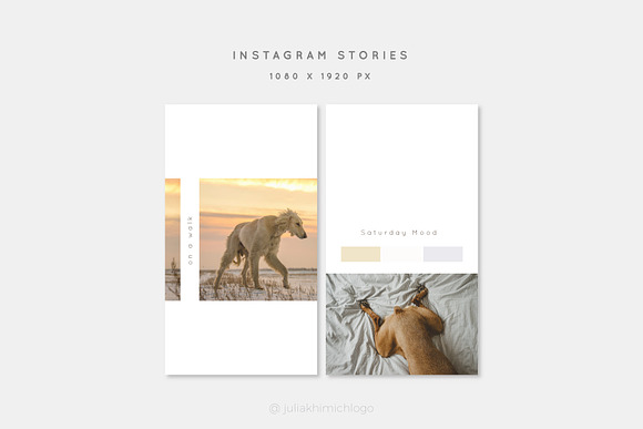 Instagram Post & Stories. Pets in Instagram Templates - product preview 15
