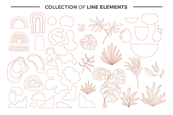 MODERN abstract shapes and plants in Illustrations - product preview 3