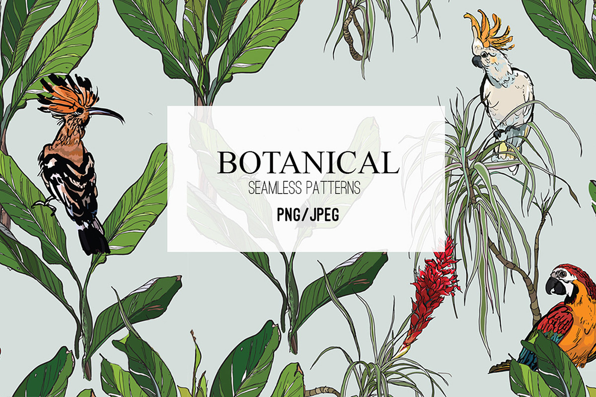 Botanical. Seamless Patterns in Patterns - product preview 8