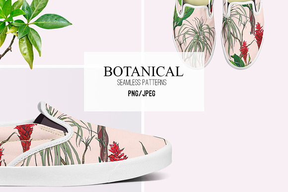 Botanical. Seamless Patterns in Patterns - product preview 2