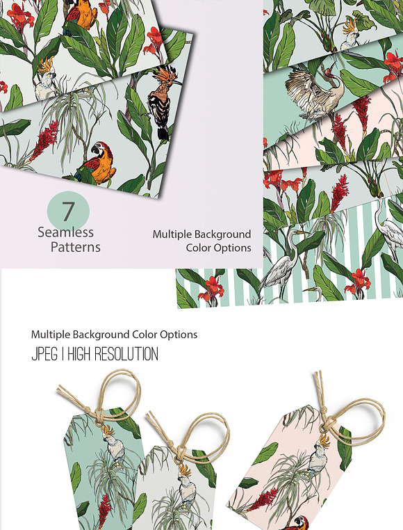Botanical. Seamless Patterns in Patterns - product preview 5