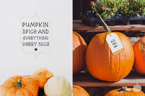 5$ Pumpkin Farm Font in Sans-Serif Fonts - product preview 4