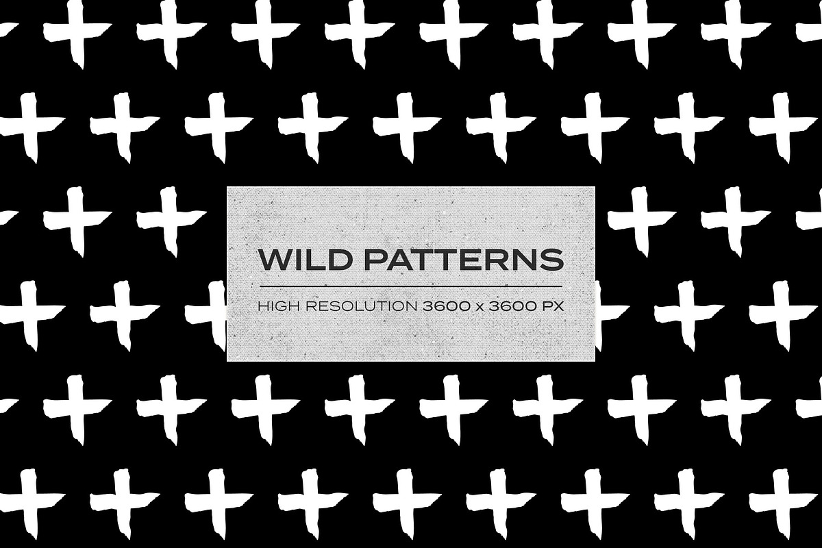 Wild Patterns in Patterns - product preview 8