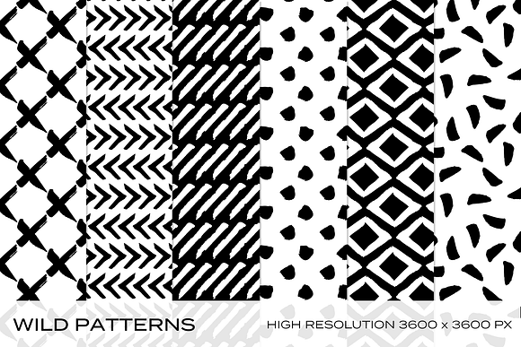 Wild Patterns in Patterns - product preview 3
