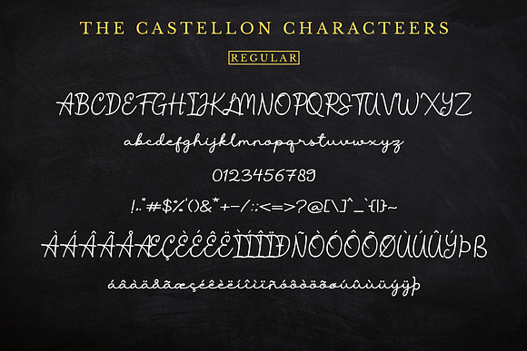 The Castellon: Classy Signature Font in Script Fonts - product preview 15