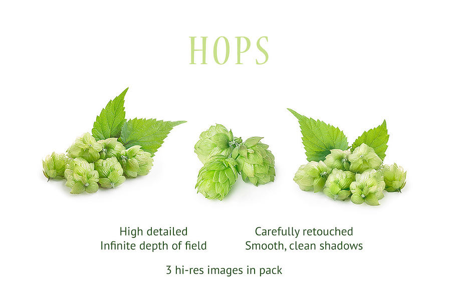 Hops in Objects - product preview 8