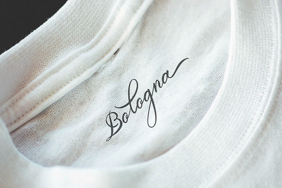 Belgian Signature in Script Fonts - product preview 7