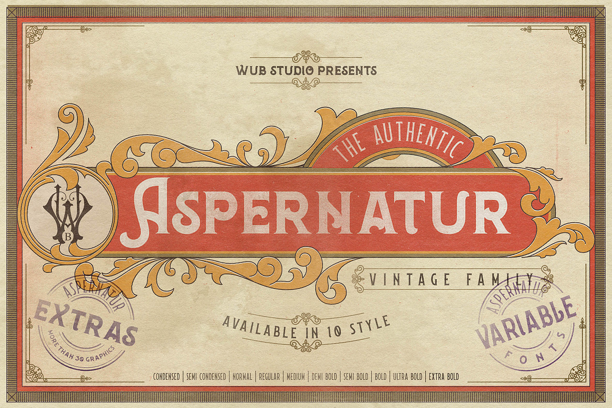 Aspernatur Vintage Family in Display Fonts - product preview 8