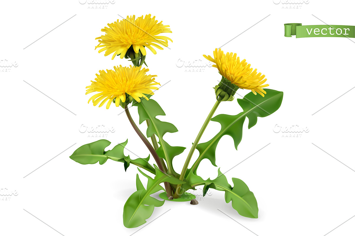 Dandelion flower, seeds, vector icon in Icons - product preview 8